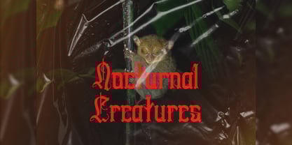 Swords Clover Font Poster 15