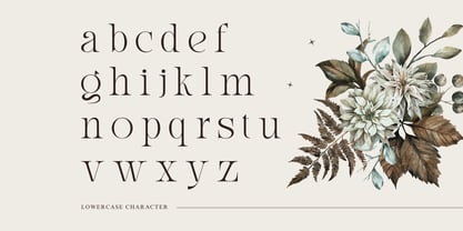 Eqicb Font Poster 5