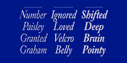 Alvito Nova Condensed Font Poster 7