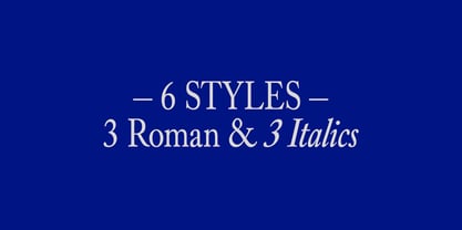 Alvito Nova Condensed Font Poster 3