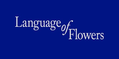 Alvito Nova Condensed Font Poster 10