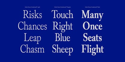 Alvito Nova Condensed Font Poster 6