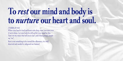 Alvito Nova Condensed Font Poster 4