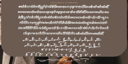 Berlin Travels Font Poster 15