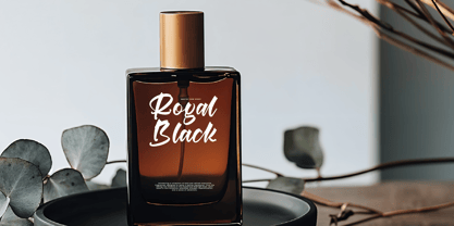 Berlin Travels Font Poster 5