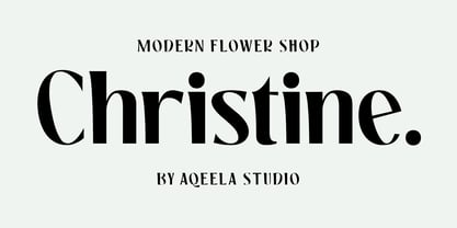 Mogata Font Poster 3