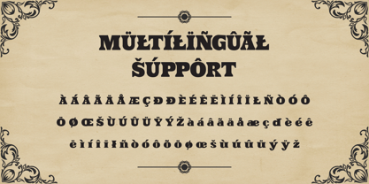 Tan Muspro Font Poster 8