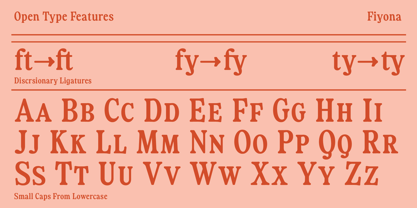 Fiyona Font Poster 9