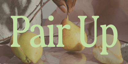 Fiyona Font Poster 8