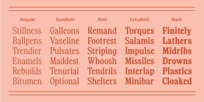 Fiyona Font Poster 3