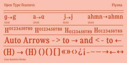 Fiyona Font Poster 10