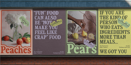 Fiyona Font Poster 2