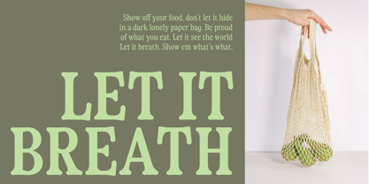 Fiyona Font Poster 6