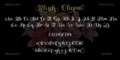 Blush Charm Font Poster 6