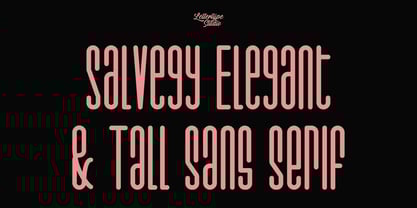 Salvegy Font Poster 1