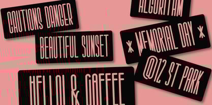 Salvegy Font Poster 3