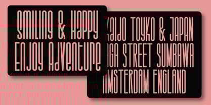 Salvegy Font Poster 4