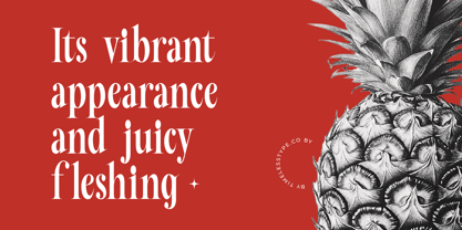 Mafian Font Poster 9