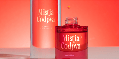 Mafian Font Poster 13