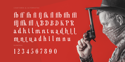 Mafian Font Poster 14