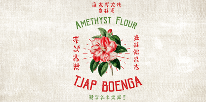 Neo China Font Poster 4