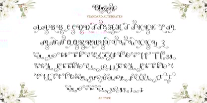 Blustani Font Poster 7