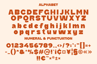 Monfela Font Poster 5