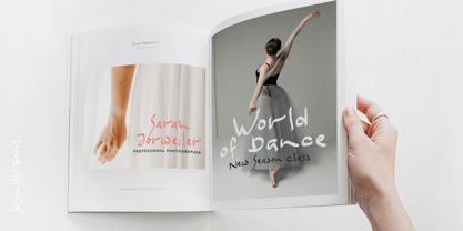 Sayhello Font Poster 7