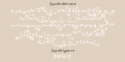 Sayhello Font Poster 6