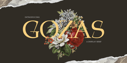 Gozas Font Poster 1