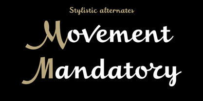 Stella Metropolitika Font Poster 9