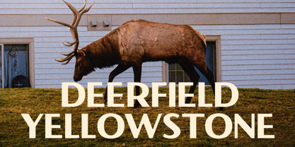 VW Montrose Font Poster 8