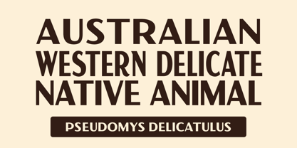 VW Montrose Font Poster 3