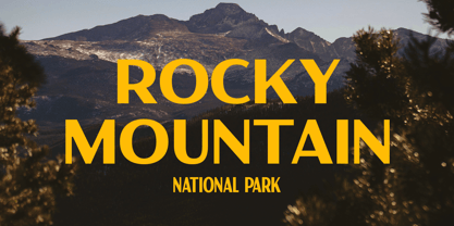 VW Montrose Font Poster 6