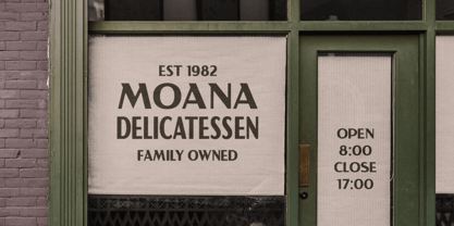 VW Montrose Font Poster 5