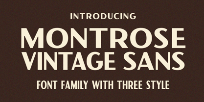 VW Montrose Font Poster 1