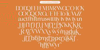 Aihuner Font Poster 6