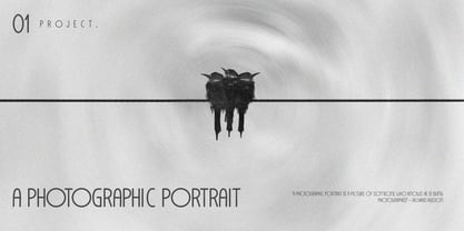 MC Liceturs Font Poster 5