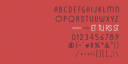 MC Liceturs Font Poster 6