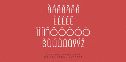 MC Liceturs Font Poster 7