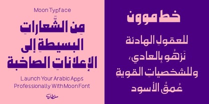 SF Moon Font Poster 4