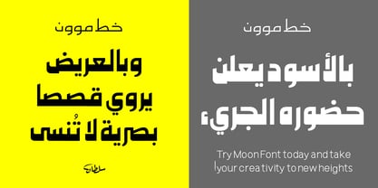 SF Moon Font Poster 5