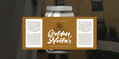 Gintery Dhump Font Poster 8