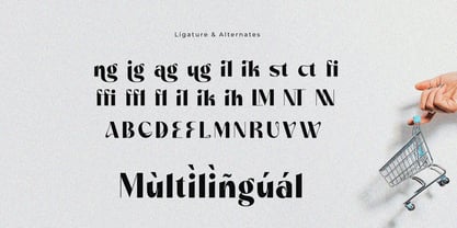 Villesta Font Poster 15