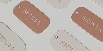 Sedra Font Poster 11