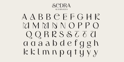 Sedra Font Poster 15