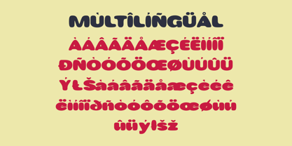 Bonaci Font Poster 6