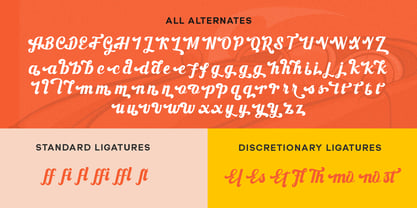 Flahilla Font Poster 7