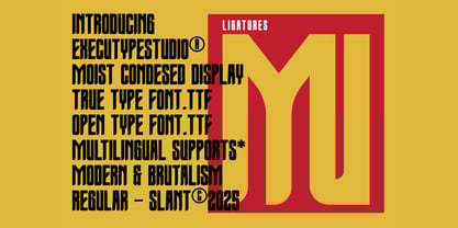 Moist Condensed Display Slant Font Poster 10