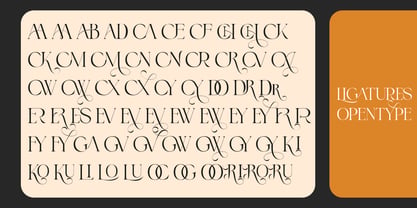 Jewerly Beyon Font Poster 15
